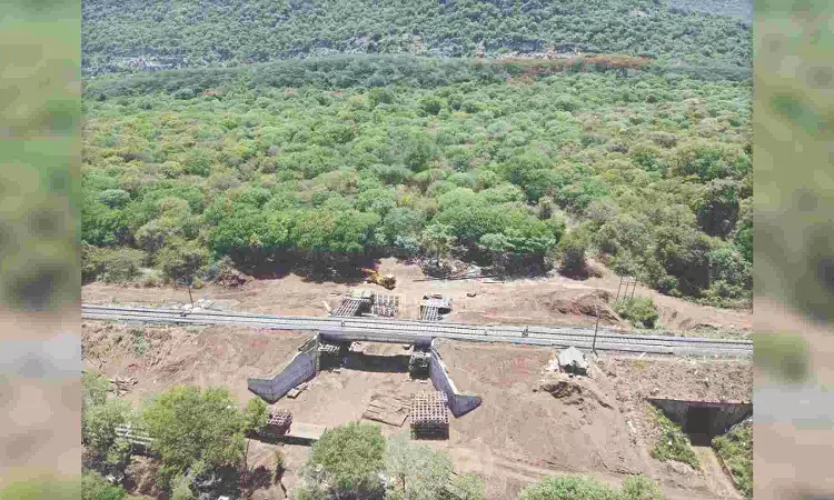 Safe underpass to skip rail line awaits jumbos