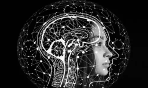 Researchers show how the visual system contributes to memory