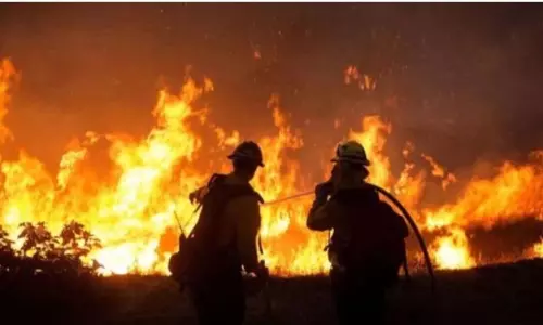 Wildfires caused by humans spike in Oregon, Washington states