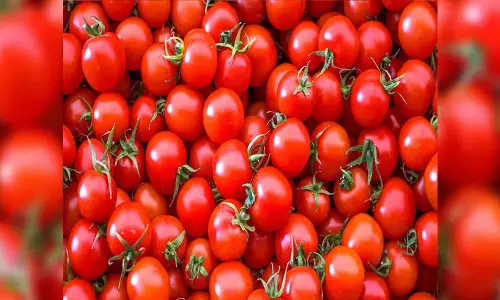 Price pressure on food items to be transitory: FinMin