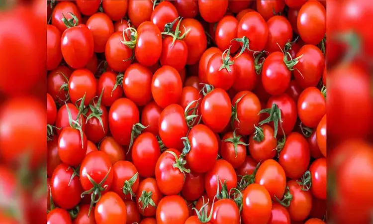 Price pressure on food items to be transitory: FinMin