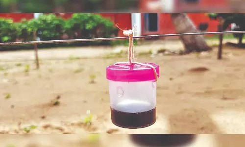 Mill to aid farmers’ fight against boars