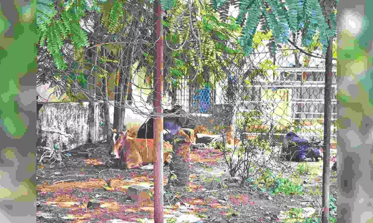 Citizen Connect: East Tambaram residents want public park renovated Citizen Connect: East Tambaram residents want public park renovated