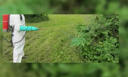 Study shows common herbicide may affect male reproductive health