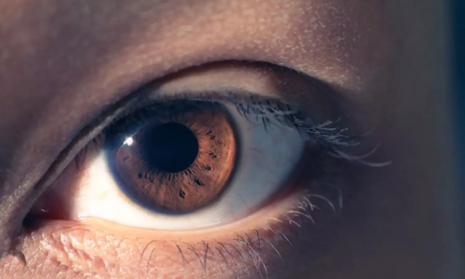 Corneal tattooing can offer hope to patients with blind eye: Experts