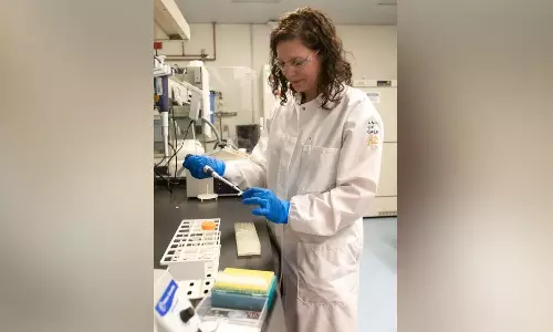 Scientists solve the genetic puzzle of sex-related Y chromosome