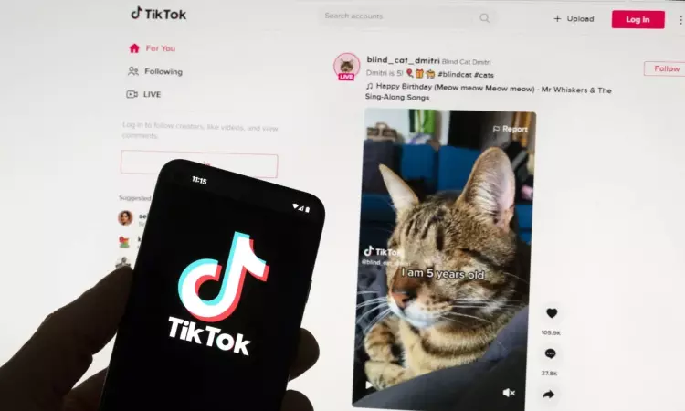 Europe is cracking down on Big Tech. This is what will change when you sign on Europe is cracking down on Big Tech. This is what will change when you sign on