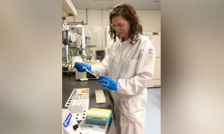 Scientists solve the genetic puzzle of sex-related Y chromosome