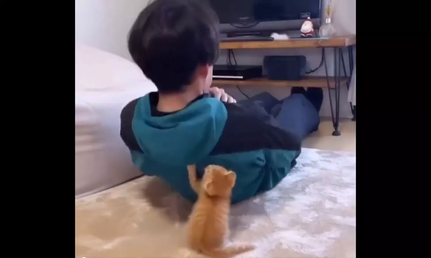 Pawsonal: Cat turns as a personal trainer for its human, video goes viral