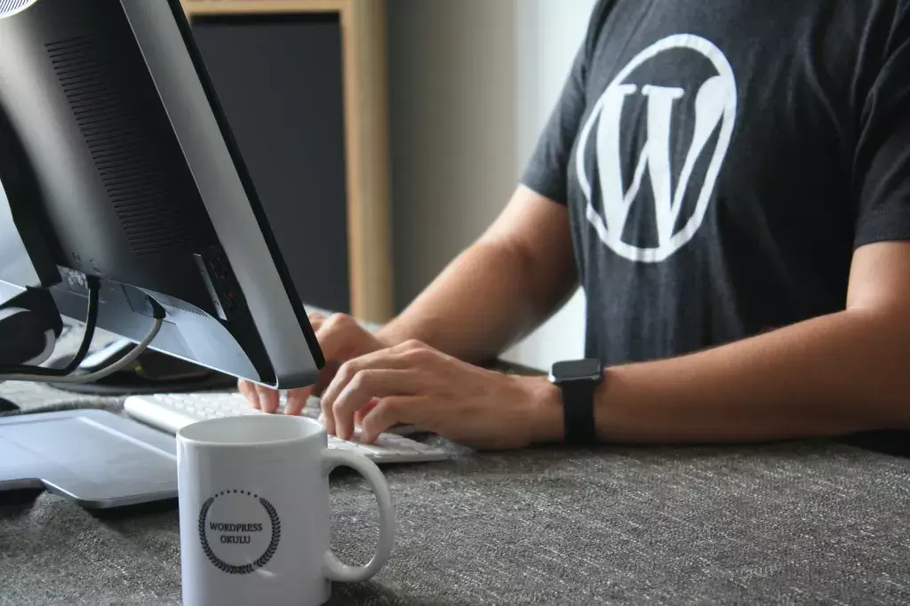 WordPress now selling 100-year domains for your lifetime WordPress now selling 100-year domains for your lifetime