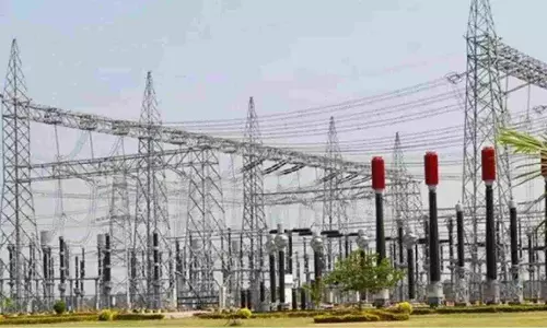 Fisherman death: NGT seeks report from Tantransco