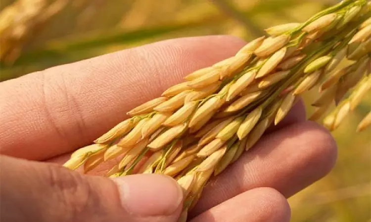 India decides to allow rice export to Singapore: MEA