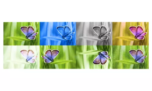 Google tests new tool to watermark, identify AI images