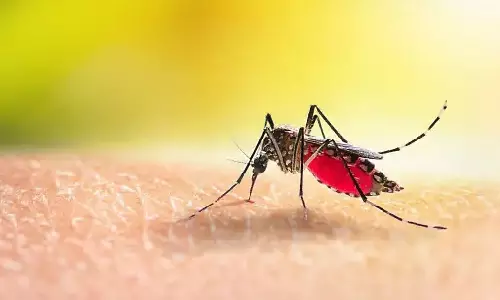 DT Health: Staying protected against dengue