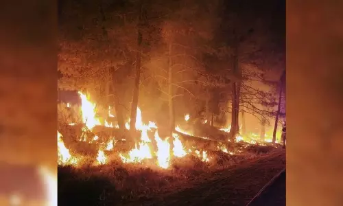 Fast-spreading wildfire forces evacuation in Texas