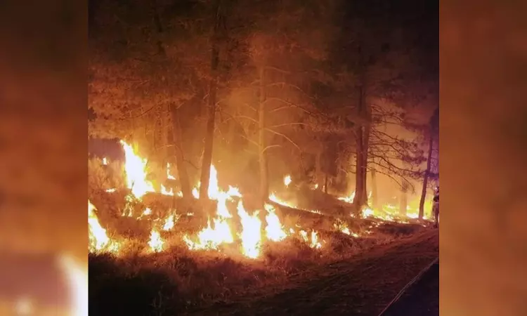 Fast-spreading wildfire forces evacuation in Texas