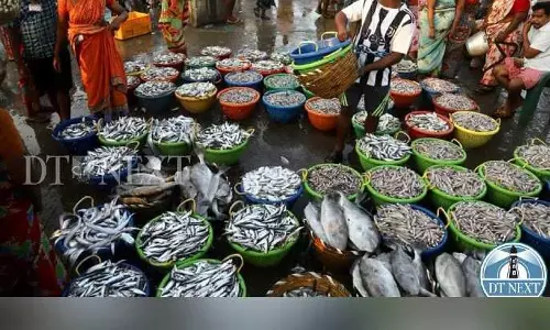 Dip in demand during Purattasi pulls down fish prices by 30%