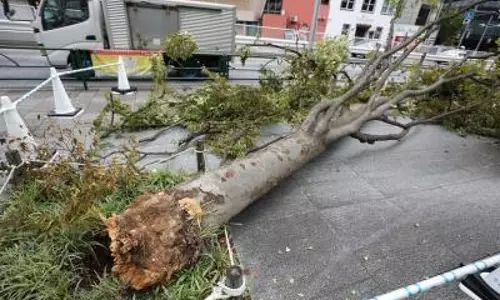 Thunderstorms expected in Japans Kanto, Tohoku regions