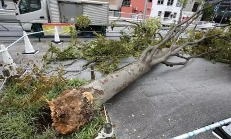 Thunderstorms expected in Japans Kanto, Tohoku regions