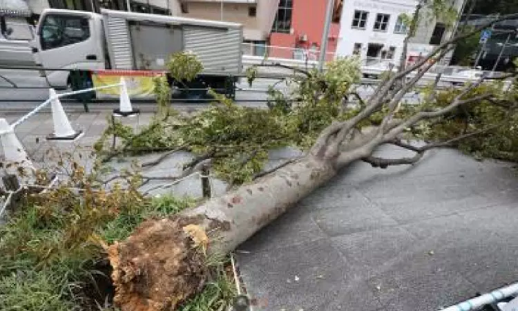 Thunderstorms expected in Japans Kanto, Tohoku regions