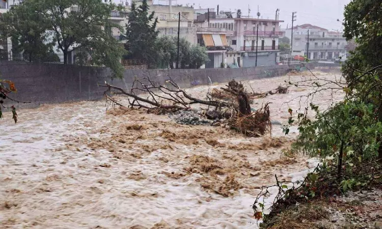Torrential rain follows summer wildfires in Greece, one dead Torrential rain follows summer wildfires in Greece, one dead