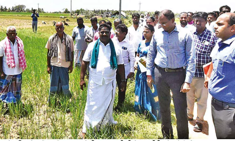 Kuruvai crisis: Officials inspect Delta farmlands