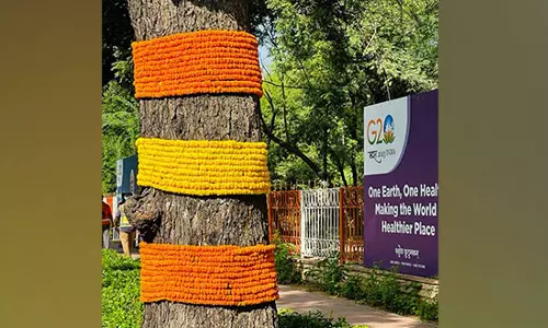 Trees decorated with marigold flowers ahead of arrival of high-profile delegates in Delhi Trees decorated with marigold flowers ahead of arrival of high-profile delegates in Delhi