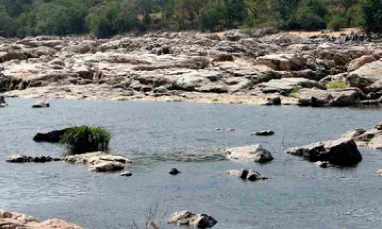 Cauvery issue: TN farmers to protest in eight districts on Sep 20 Cauvery issue: TN farmers to protest in eight districts on Sep 20