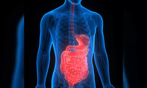 Scientists identify cause of inflammatory bowel disease