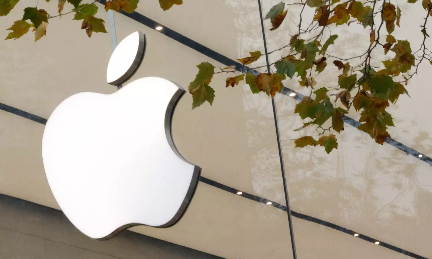 Apple supplier in TN under IT scanner
