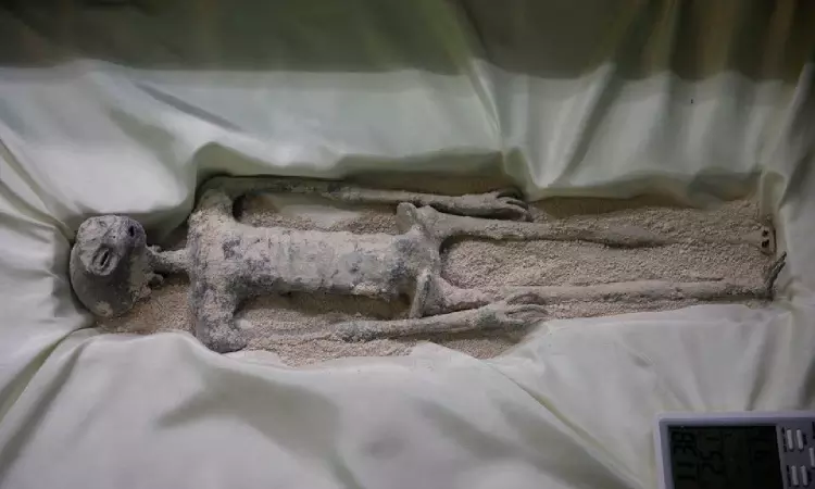 A close encounter with the alien bodies in Mexico A close encounter with the alien bodies in Mexico