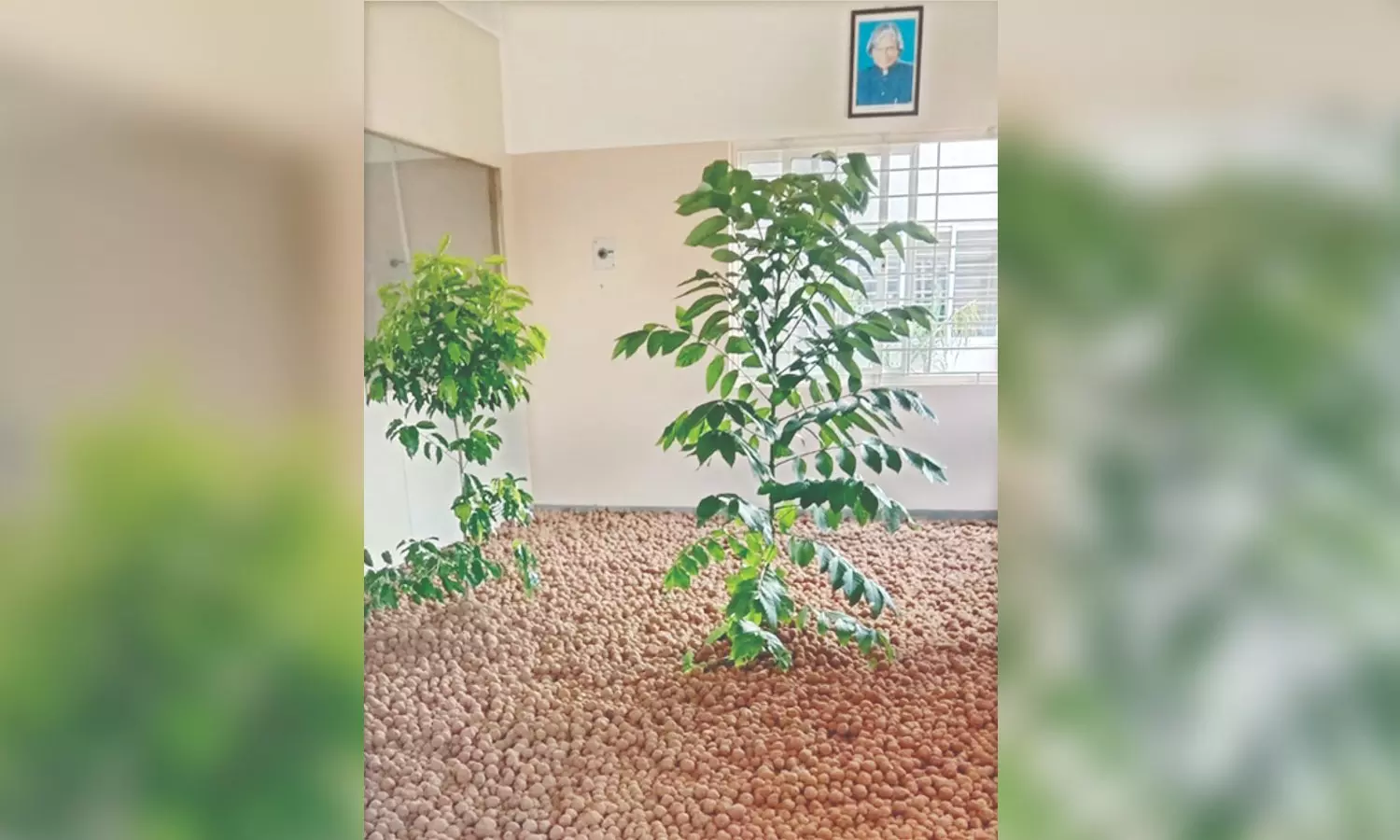 Forest fires could impact seed ball broadcasting in Vellore Forest fires could impact seed ball broadcasting in Vellore