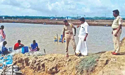 Shrimps worth Rs 1L stolen in Nagai Shrimps worth Rs 1L stolen in Nagai