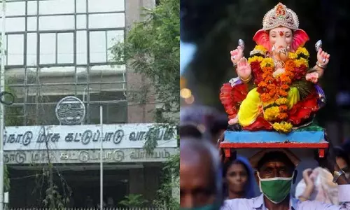 Vinayagar Chaturthi: TNPCB to test water bodies for pollution