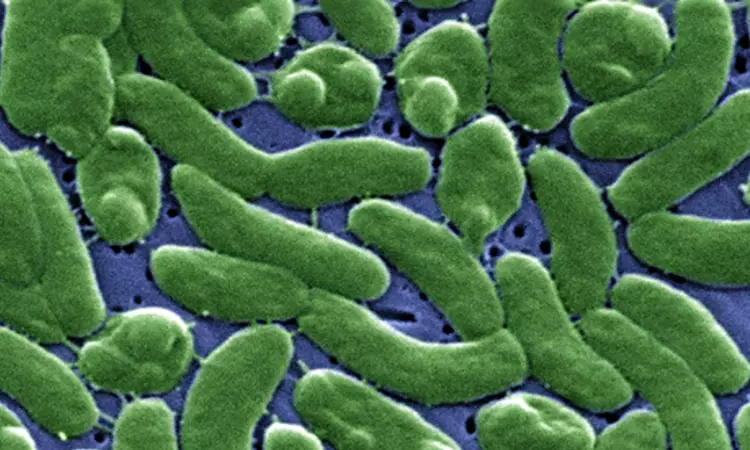 US woman loses all 4 limbs due to bacterial infection from fish