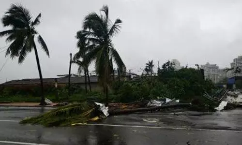 5 killed, 4 severely injured as tornado hits China