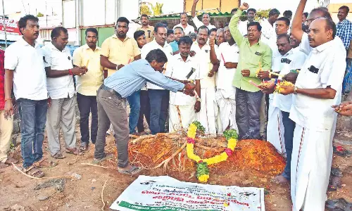 Activists’ last rites to felled tree