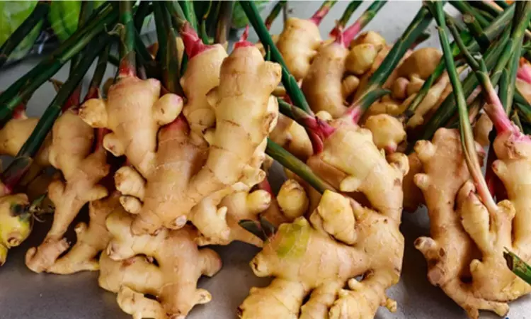 Ginger supplements can be beneficial in treating autoimmune diseases: Study