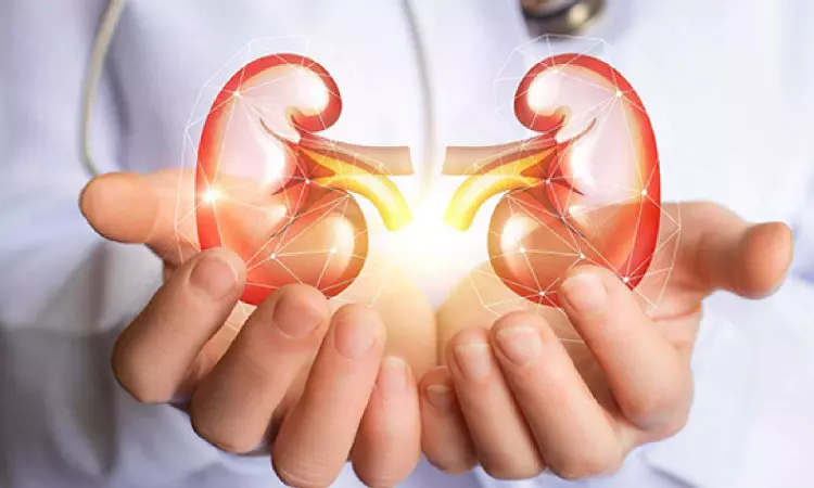 Scientists find genetic code behind rare kidney cancer