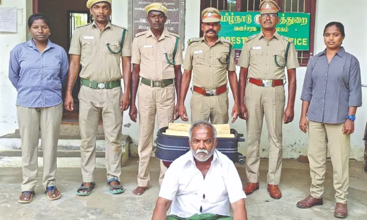 Thanjai man held with 31 kg sandalwood