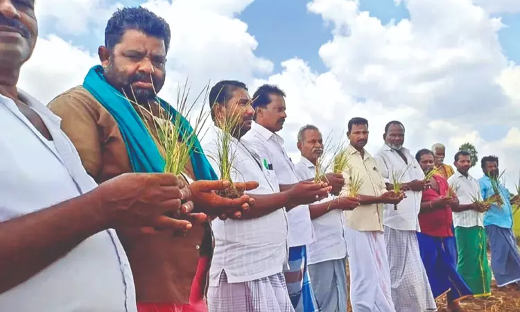 47-yr-old Nagai farmer dies after seeing withered kuruvai crops
