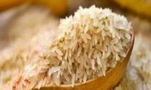 Govt may lower basmati rice export price by $300 per tonne