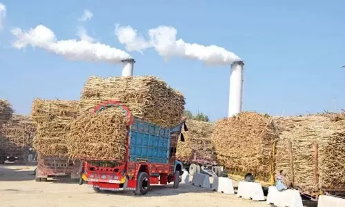 GO on molasses sale may hit Vellore sugar mill’s profits