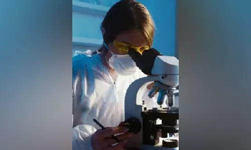 Researchers discover causes of liver cell scarring Researchers discover causes of liver cell scarring