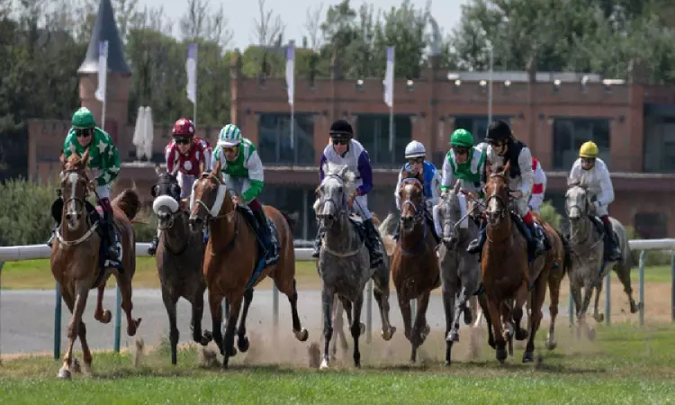 Asian Games: Vikas Kumar finishes fourth in equestrian event jumping final