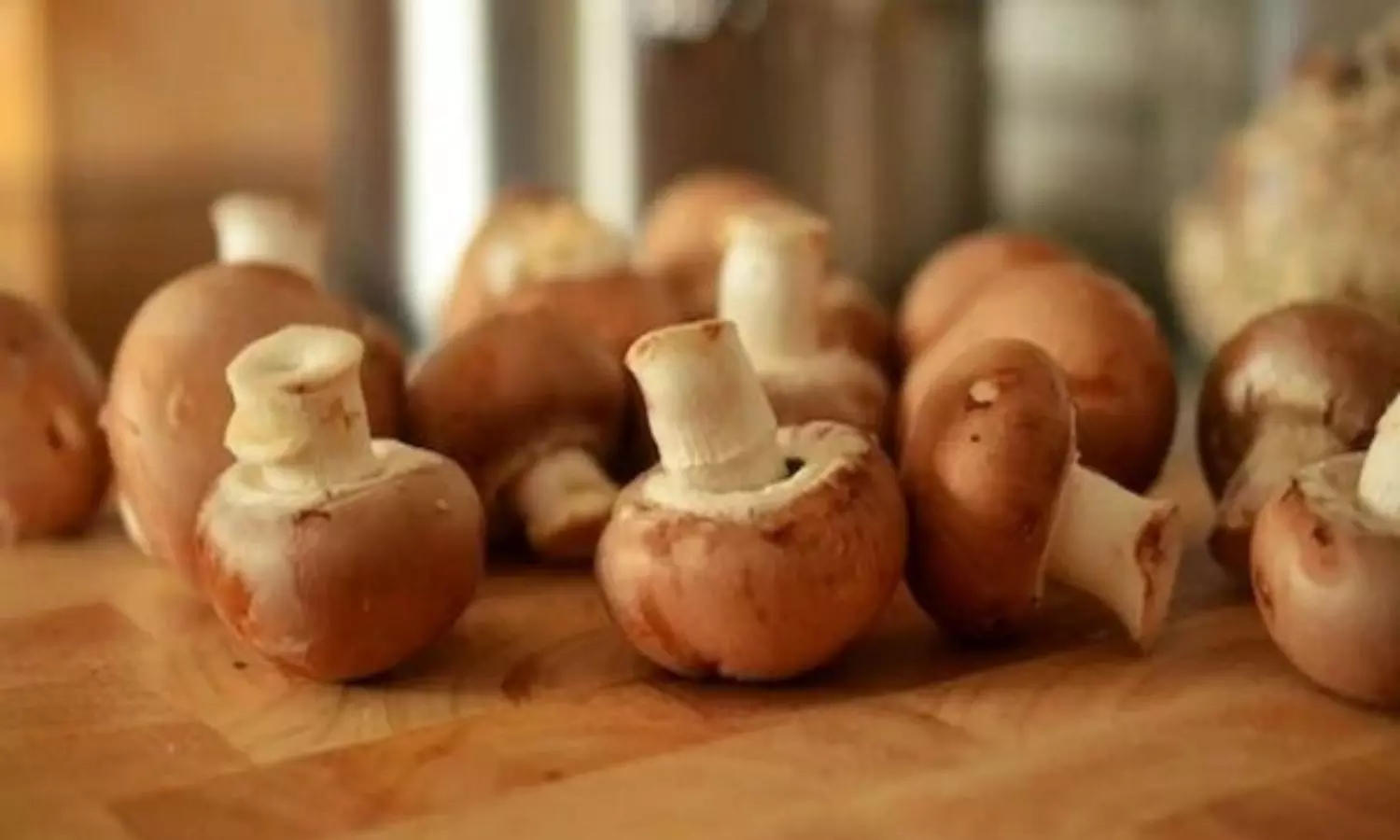 Small doses of mushrooms may be helpful for mental illnesses: Research