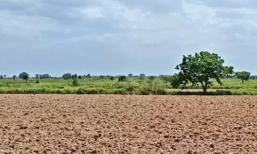 Officials retrieve Rs 200-cr govt land encroached in Pallavaram