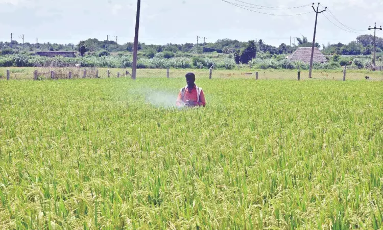 TN to pay Rs 13,500 per hectare compensation to affected Kuruvai farmers