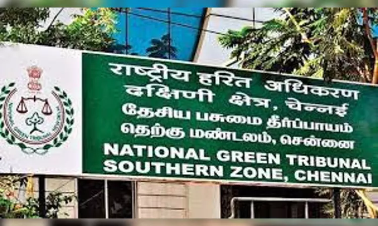 NGT seeks action to remove invasive mussel from Ennore-Pulicat NGT seeks action to remove invasive mussel from Ennore-Pulicat