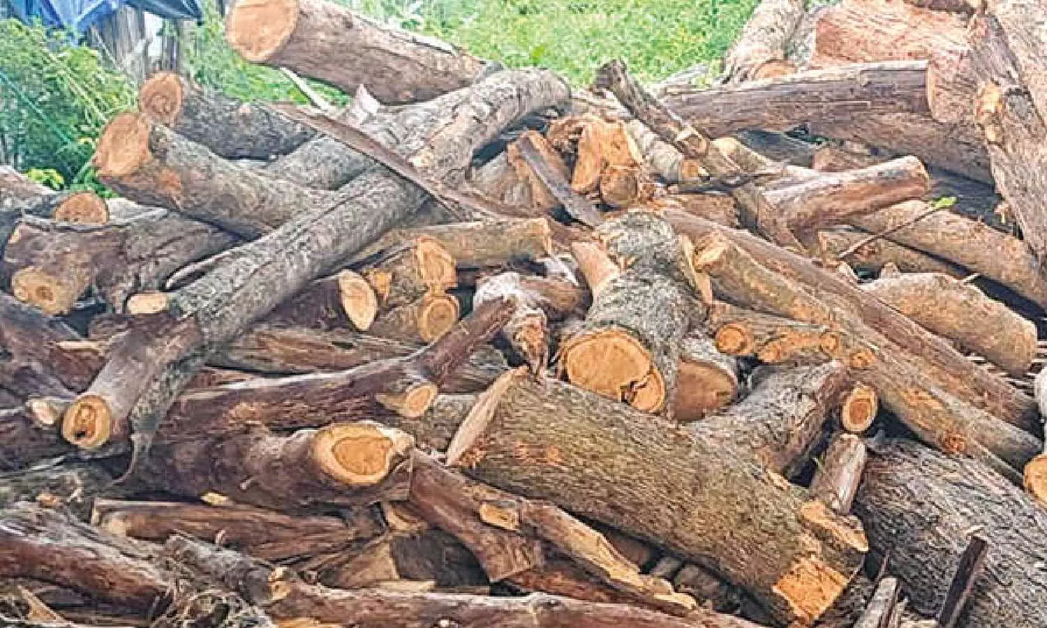 Locals besiege school protesting felling of trees Locals besiege school protesting felling of trees